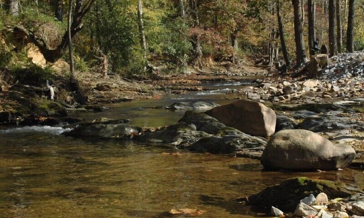 Pigeon Forge Cabin | Gone Fishin Pigeon Forge Cabin, Hot Tub, Fire Pit, Creek View, Easy Access