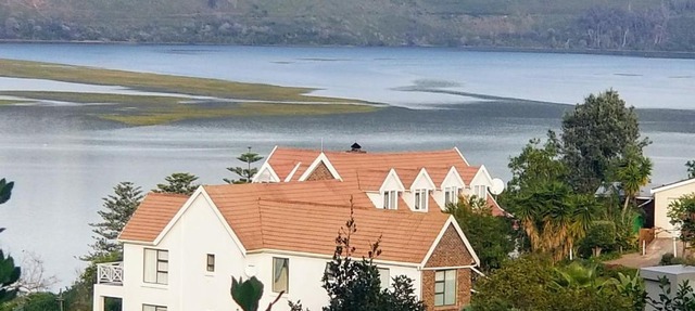 6 On Protea in Knysna