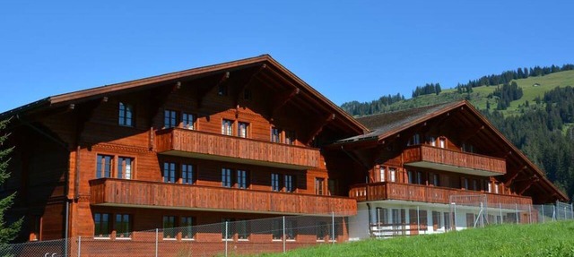 Anne (2. Stock) Appartement/Fewo, Dusche oder Bad, WC 12-Bettwohnung by Interhome in Gstaad