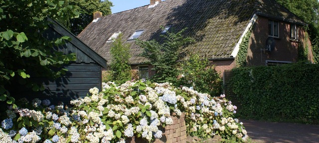 British/Dutch Owned Former Farmhouse (1836) near Picturesque National Parks in Diever