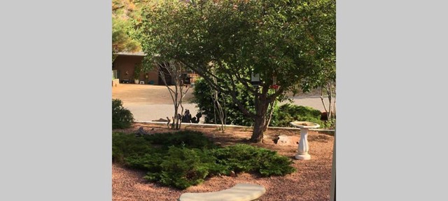 Coffee Pot Cabin in Sedona