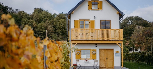 Cozy Kellerstöckl in the middle of the vineyards in Eisenberg/Deutsch Schützen