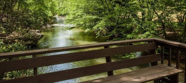 Dancing Waters by Mountain Oasis | Riverfront Cabin in Ellijay in Ellijay