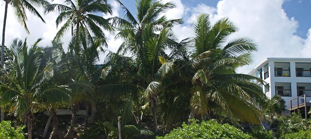 Driftwood First Floor Condo at Hoopers Bay With Stunning Views in Georgetown