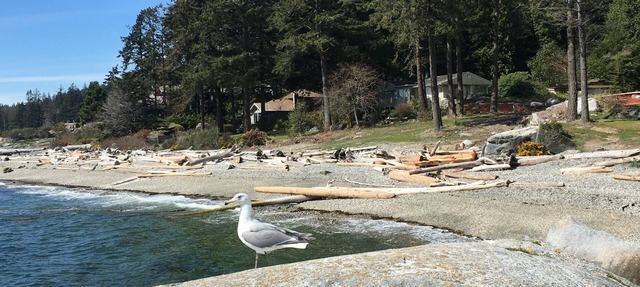 Fun Suite between two waters in Sechelt