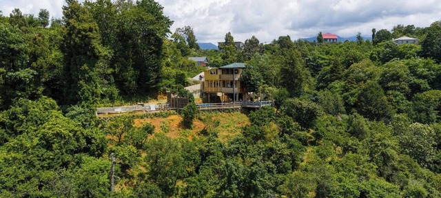 GoldenSeaView TreeHouse with Small Private Pool in Kobuleti