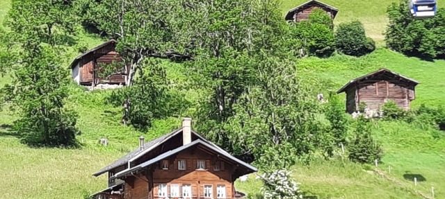 Kari's Schüür by Interhome in Lenk