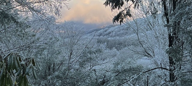 Less than 1 mile to Ski Beech Resort. Transferable club social membership. in Beech Mountain