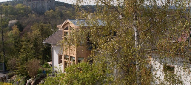 Organic home, garden & swimming pond, quiet location, Vienna reached in 15 min in Maria Enzersdorf