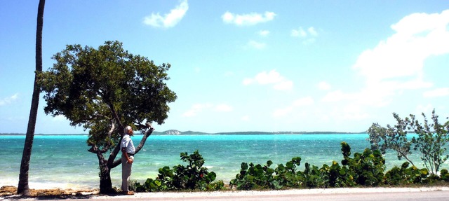 Plumbago - Paradise in the Bahamas with Ocean views in George Town