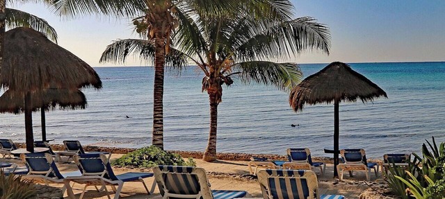 Private Beachfront w/Lanai-Pool-Tropical Gardens! in Akumal