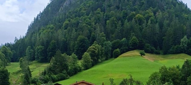 Selauerbauer - Appartement/fewo, Dusche und Bad, WC in Lofer