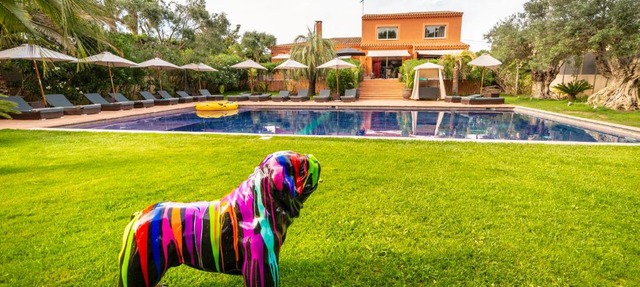 Villa peacock in Le Grau-dʼAgde