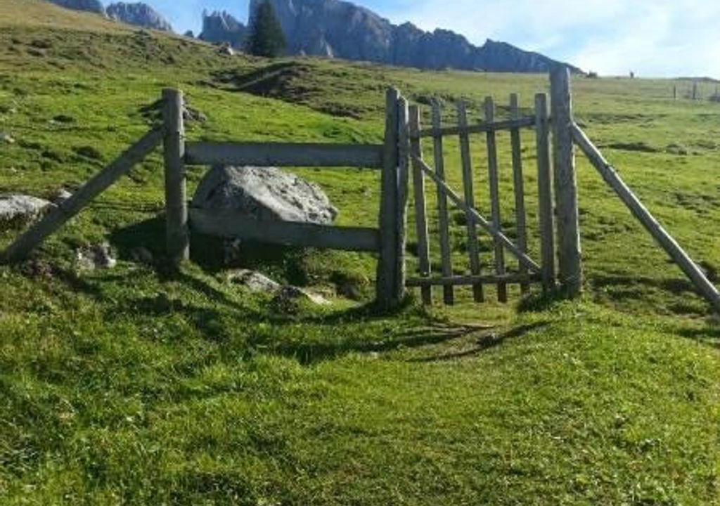 Photo of Others in Abtenau